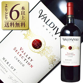 【よりどり6本以上送料無料】 バルディビエソ ヴァレー セレクション メルロー 2021 750ml 赤ワイン チリ