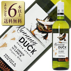 yǂ6{ȏ㑗z Xe[ Ci[ jO_bN _h~ܖY zCg 2025 750ml C I[KjbNC Ro[ AtJ