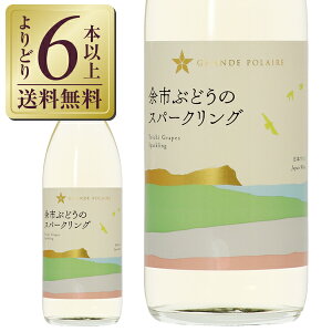 y12/04 20:00 [J[fN[|擾zyǂ6{ȏ㑗z O|[ ]sԂǂ̃Xp[NO 600ml Xp[NOC Pi[ {C