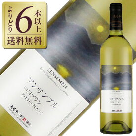 【よりどり6本以上送料無料】 鳥居平今村 アンサンブル 甲州ブラン 2023 750ml 白ワイン 日本