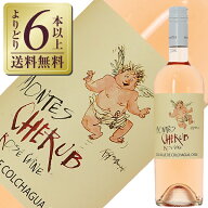 【よりどり6本以上送料無料】 モンテス シェラブ ロゼ 2024 750ml ロゼワイン シラー チリ