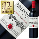 【よりどり12本送料無料】 バルディビエソ カベルネソーヴィニヨン 2022 750ml 赤ワイン チリ