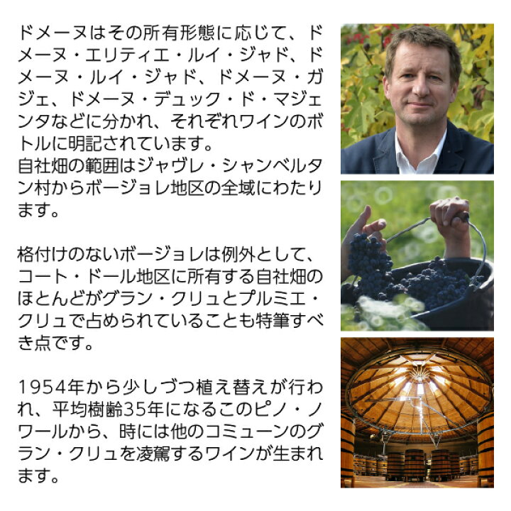 楽天市場】ルイ ジャド ヴュー マール ド ブルゴーニュ ア ラ マスコット 40度 箱なし 700ml : 酒類の総合専門店 フェリシティー 楽天市場】ルイ ジャド ヴュー マール ド ブルゴーニュ ア ラ マスコット 40度 箱なし 700ml : 酒類の総合専門店 フェリシティー