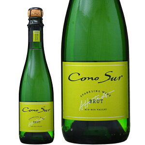 yn[tzRmX Xp[NO ubg n[t 375ml ` Xp[NOC