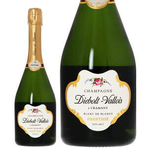 �f�B�G�{�� ���@���� �u���� �h �u���� �v���X�e�B�[�W �G�N�X�g�� �u�����b�g ���Ȃ� 750ml �V�����p�� �V�����p�[�j�� �t�����X