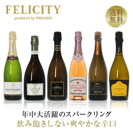 250円OFFクーポン対象 【21】フェリシティー厳選！ 至福の泡6本セット 第71弾 750ml×6 飲み比べ スパークリングワイン ワイン セット 【送料無料】【包装不可】