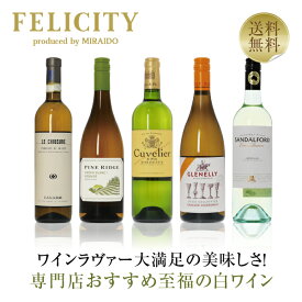 500円OFFクーポン対象 【17】専門店が選ぶ 至福の白ワイン 5本セット 第19弾 750ml×5 飲み比べ ワイン セット 【送料無料】【包装不可】