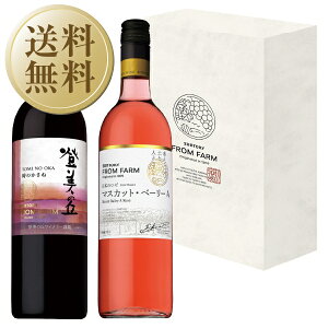 yz Tg[ őuCi[ tt@[Zbg őu ̂ ԁ{̃[ 2{Zbg 750ml×2 ԃC [C { pGB bsO ̓ Mtg v