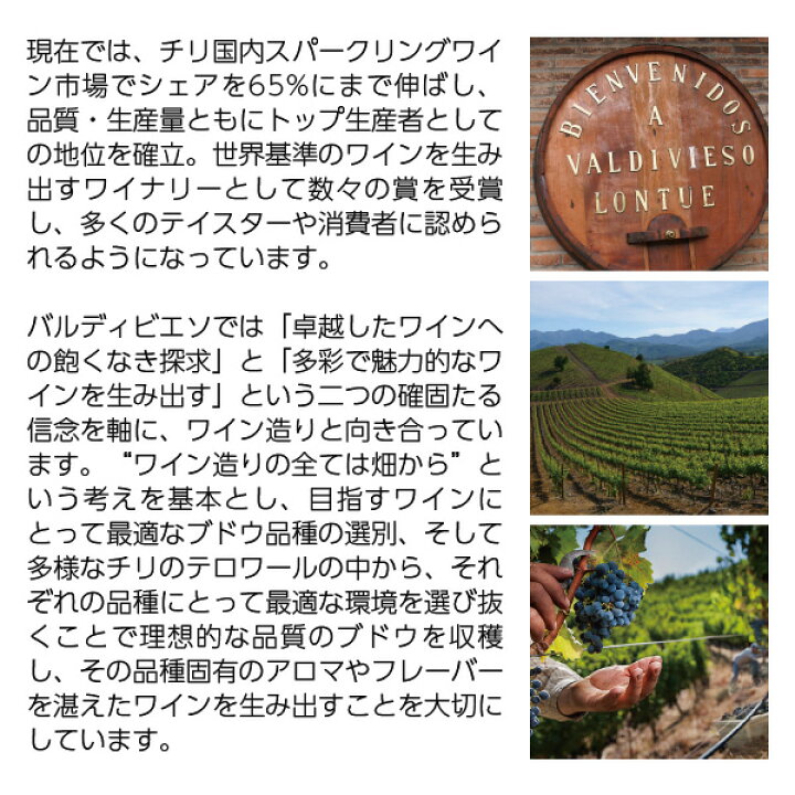 バルディビエソ ブリュット ハーフ 375ml 正規 チリ スパークリングワイン : 酒類の総合専門店 フェリシティー バルディビエソ ブリュット ハーフ 375ml 正規 チリ スパークリングワイン : 酒類の総合専門店 フェリシティー
