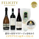 【送料無料】 濃厚x重厚マリアージュを味わうイタリアワイン＆チーズセット 750ml×3 飲み比べ チーズ ワイン セット 包装不可 クール代込