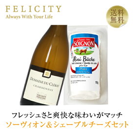 【送料無料】 ソーヴィオン＆シェーブルチーズセット 750ml チーズ ワイン セット 包装不可 クール代込