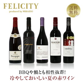 400円OFFクーポン対象 【1】季節と楽しむワイン！ 初夏の赤ワイン5本セット 第1弾 750ml×5 飲み比べ 赤 ワイン セット 【送料無料】【包装不可】