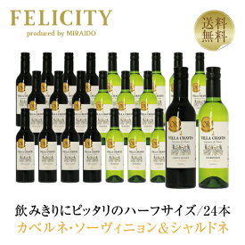 【送料無料】【ハーフ】 ヴィラ シャヴァン（ヴィラ シャバン） 赤白（各12本） 24本セット 375ml 赤白ワイン フランス 24本 1ケース 包装不可