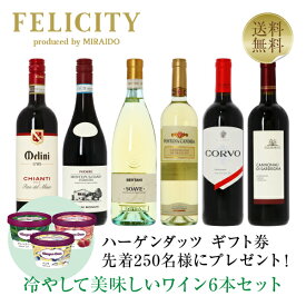 【送料無料】 先着250名様にハーゲンダッツギフト券プレゼント！ イタリアの夏赤＆夏白 冷やして美味しいワイン6本セット 750ml×6 飲み比べ イタリア ワイン セット 包装不可