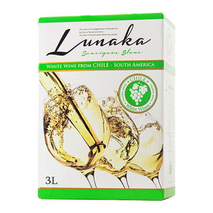 youtlet11026zyiJԁ4őz iJ \[Bj u 2024i{bNXCj 3000mlysǓz