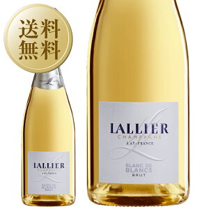 �V�����p�[�j�� �����G �u���� �h �u���� ���Ȃ� 750ml �V�����p�� �V�����h�l �t�����X