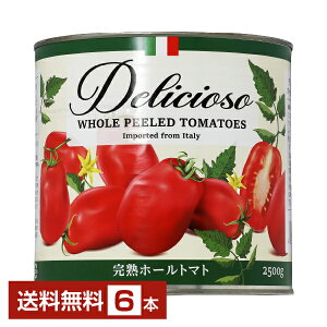 yzfVI[\ n z[g}giۂƁj2.5kg 6 1P[X s iƓs