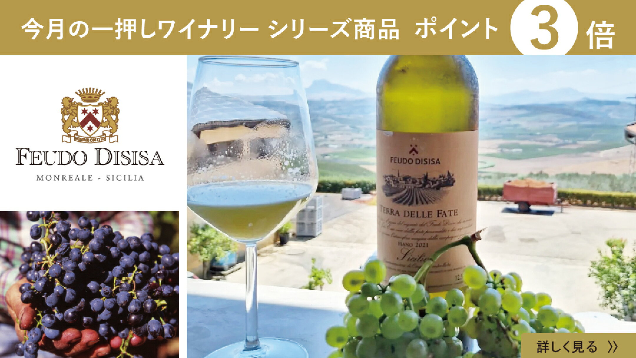 今月のピックアップワイナリー