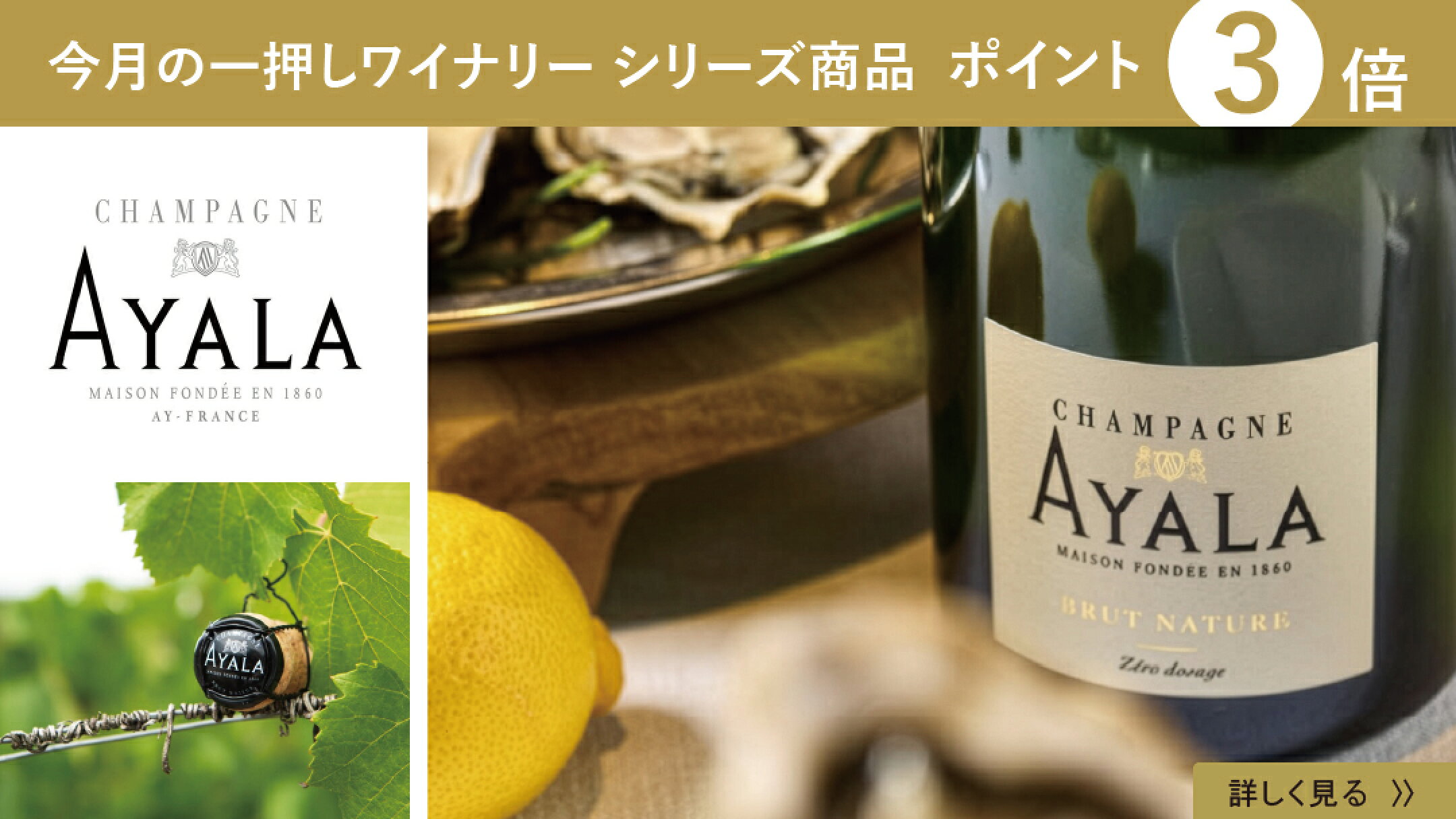 今月のピックアップワイナリー