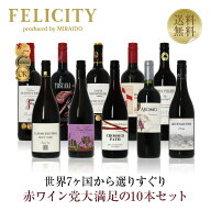 500円OFFクーポン対象 【5】赤ワイン選りすぐり パーティー10本セット 第29弾 750ml×10 飲み比べ ワイン…