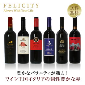 300円OFFクーポン対象 【6】ワイン王国「イタリア」の赤ワイン6本セット 第31弾 750ml×6飲み比べ ワイン セット 【送料無料】【包装不可】