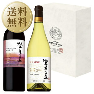 yz Tg[ őuCi[ tt@[Zbg őu ̂ ԁbB 2{Zbg 750ml×2 ԃC C { pGB bsO