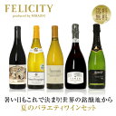 400円OFFクーポン対象 【3】季節と楽しむワイン！ 夏のバラエティ5本セット 第1弾 750ml×5 飲み比べ 赤ワイン 白ワイン スパークリングワイン ワイン セット 【送料無料】【包装不可】
