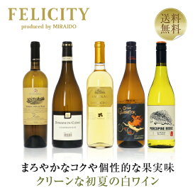 400円OFFクーポン対象 【2】季節と楽しむワイン！ 初夏の白ワイン 5本セット 第1弾 750ml×5 飲み比べ 白 ワイン セット 【送料無料】【包装不可】