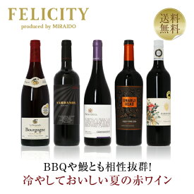 400円OFFクーポン対象 【1】季節と楽しむワイン！ 夏の赤ワイン5本セット 第1弾 750ml×5 飲み比べ 赤 ワイン セット 【送料無料】【包装不可】