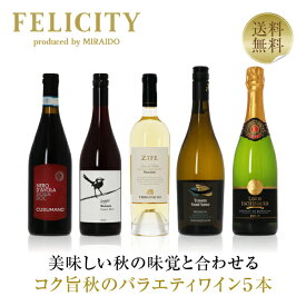 400円OFFクーポン対象 【3】季節と楽しむワイン！ 秋のバラエティ5本セット 第1弾 750ml×5 飲み比べ 赤ワイン 白ワイン スパークリングワイン ワイン セット 【送料無料】【包装不可】