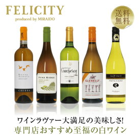 500円OFFクーポン対象 【17】専門店が選ぶ 至福の白ワイン 5本セット 第20弾 750ml×5 飲み比べ ワイン セット 【送料無料】【包装不可】