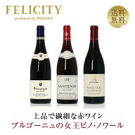 【先着順 400円OFFクーポン取得可　6/11 01：59迄】350円OFFクーポン対象 【8】ドメーヌ ブルゴーニュ ピ…