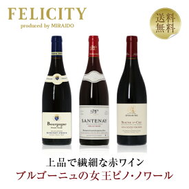 350円OFFクーポン対象 【8】ドメーヌ ブルゴーニュ ピノ ノワール3本セット 第26弾 750ml×3 飲み比べ 赤 ワイン ワイン セット 【送料無料】【包装不可】