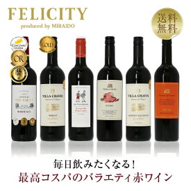 200円OFFクーポン対象 【4】毎日飲みたい！最高コスパワイン バラエティ 赤ワイン 6本セット 第22弾 750ml×6 飲み比べ ワイン セット 【送料無料】【包装不可】