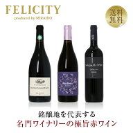 【先着順 400円OFFクーポン取得可　6/11 01：59迄】250円OFFクーポン対象 【7】注目の作り手 極旨赤ワイ…