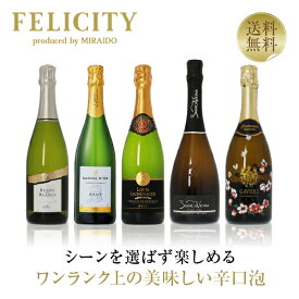400円OFFクーポン対象 【22】こだわりの辛口ワンランク上の美味しい泡5本セット 第21弾 750ml×5 飲み比べ ワイン セット 【送料無料】【包装不可】