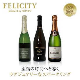 500円OFFクーポン対象 【23】ゆっくりと時間をかけて楽しみたい！ラグジュアリー泡3本セット 第20弾 750ml×3 飲み比べ スパークリング ワイン セット 【送料無料】【包装不可】