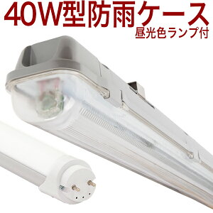 y40W` BUMDz10{ȏ㑗 F 6500k LEDvt 40`W 40` 40W LEDx[XCg 1 ֏ hJ h h {؏  {{ VC^P }C^P LmR ێ45x`}CiX20x 40W` 40W