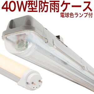 y40W` BUMTz@10{ȏ㑗 dF 2700k LEDvt 40W` 40W 40` 40^ 40W^ 40W` 40W 40` 40^ 40W^ LEDx[XCg 1 ֏ hJ h h {؏  {{ VC^P }C^P Lm