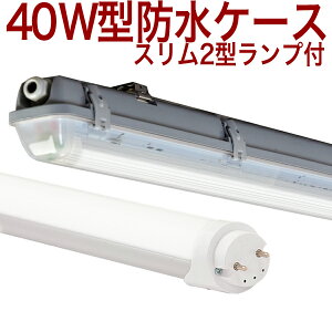 y40W` BUX2^MWz10{ȏ㑗 F 5000k 40W` 40W 40` 40^ 40W^ 40W` 40W 40` 40^ 40W^ X^Cv LEDx[XCg 1 ֏ hJ h h {؏  {{ VC^P }C