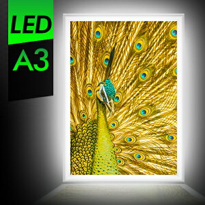 LEDpl A3 LEDŔ yʃA~t[