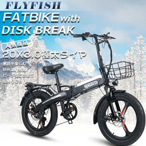 s\ dAVXg] ܂ ~jx ] Ƌ sv dAVXg]  d܂肽ݎ] E-bike C[oCN eoCN }EeoCN 20C` ܂肽ݎ]