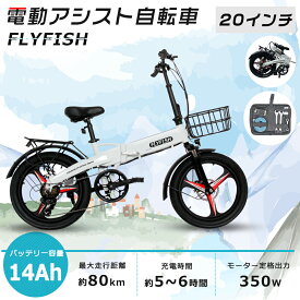 FLYFISH 電動アシスト自転車 おりたたみ式 20インチ 免許不要 折り畳み電動アシスト自転車 おしゃれ 折り畳み自転車 20インチ 軽量 折りたたみ電動アシスト自転車 折りたたみ自転車 20インチ 軽量 公道走行可能 ロードバイク 泥除け ミニベロ 自転車 かっこいい プレゼント