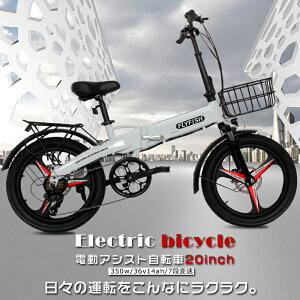 FLYFISH s\ Ƌsv dAVXg] 20C` d܂肽ݎ]  ^F eoCN EBIKE [hoCN NXoCN JSt t@bgoCN d }EeoCN 20