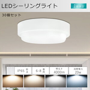 y30ZbgzLED V[OCg h 20W 4000lm V[OCg 6 6 8 LED V[OCg ی^ dF F F F ^V[OCg IP65h [OCg 