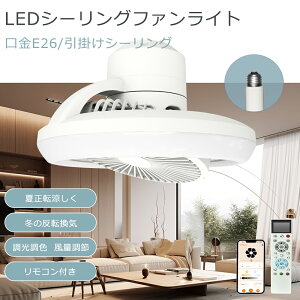 ΍ V[Ot@Cg LED  F ʒ Rt t]؂ւ V[OCg 6 8 10 V[OCg t@t V[Ot@ DC[^[ @ Al