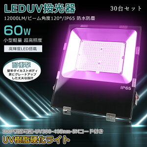 y30ZbgzŐVUVCgŏہI OCg LED d60W S12000lm UVCg  ubNCg  Xe[t px180° Ǝˊpx120° dCg VƖ UV
