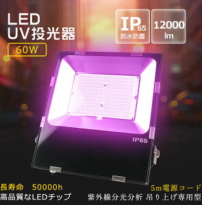 ỷiIȃZbgz ubNCg 390-405nm  A琬Cg O UVCg UVdCg OCg WdCg LEDƓ[NCg 5MR[h v