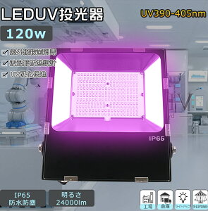 ỷiIȃZbgz ubNCg 390-405nm  A琬Cg O UVCg UVdCg OCg WdCg LEDƓ[NCg 5MR[h v