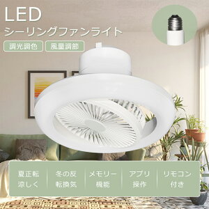 y2025ŐV^zV[Ot@Cg LED t@tƖ V[OCg E26Ή |V[O 啗 É F px @ y ^ ^  Ɩ C 